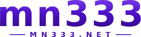mn333 logo